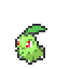 Chikorita